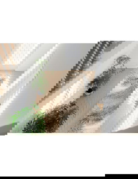 Bologna 462 Green Modern Fantasy Rug – Durable & Stylish