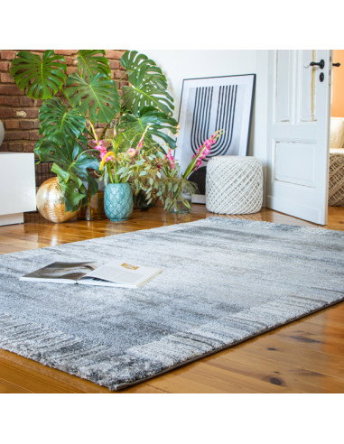 Canyon 970 Grey Modern Geometric Rug