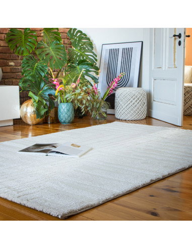 Tappeto salotto moderno crema Canyon 973