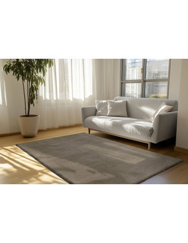 Eternity 500 Wallnuß Rug – Modern Durable Carpet