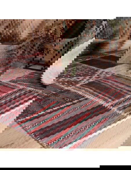 Tappeto moderno Ethno 263 multi colorato