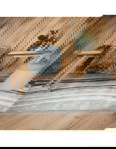 Tappeto moderno Frisco 283 tortora