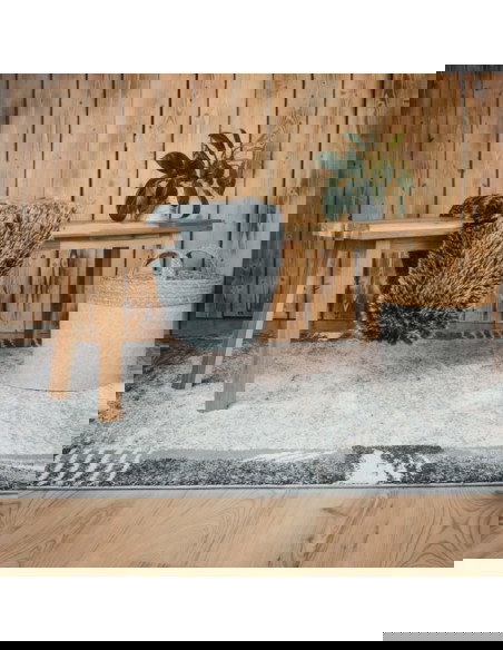 Tappeto moderno Frisco 284 grigio