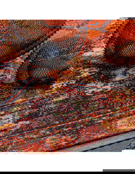 Gobelina 640 Multi Classic Rug with Vibrant Colors