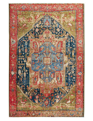 Gobelina 645 Multi Vintage Style Rug with Multi-Color Design