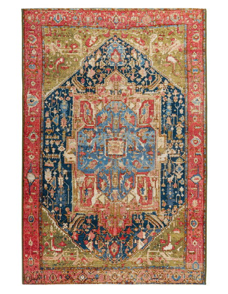 Gobelina 645 Multi Vintage Style Rug with Multi-Color Design