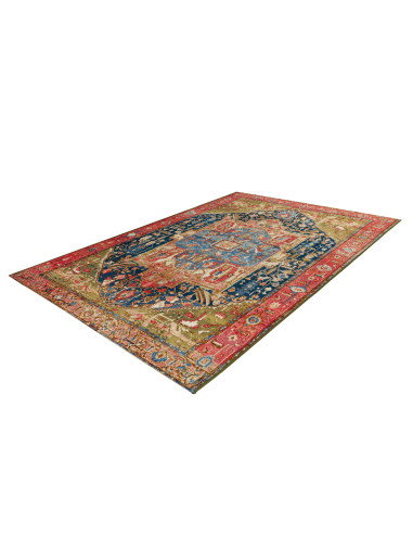 Gobelina 645 Multi Vintage Style Rug with Multi-Color Design
