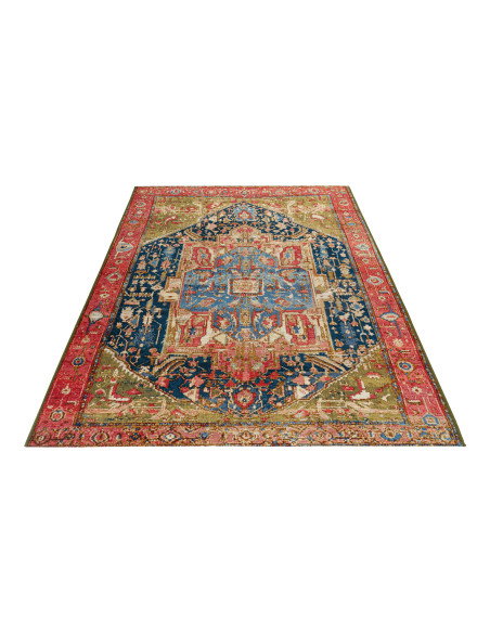 Gobelina 645 Multi Vintage Style Rug with Multi-Color Design