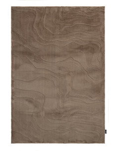 Interstellar 500 Taupe Rug – Modern Cozy Carpet
