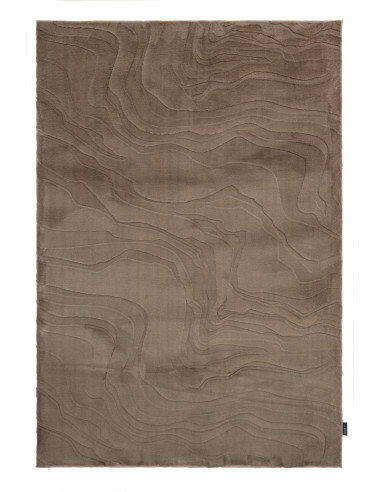 Interstellar 500 Taupe Rug – Modern Cozy Carpet