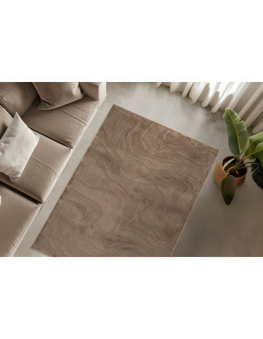 Interstellar 500 Taupe Rug – Modern Cozy Carpet