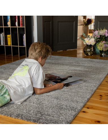 Nassau 772 Grey Modern Rug – Durable & Stylish