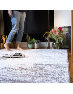 Nevada 340 Grey Modern Rug with Fantasy Design