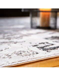 Nevada 340 Grey Modern Rug with Fantasy Design 2