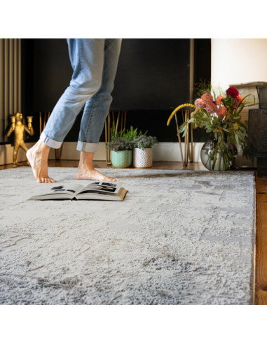 Nevada 341 Grey Modern Rug – Elegant Soft Grey Tones