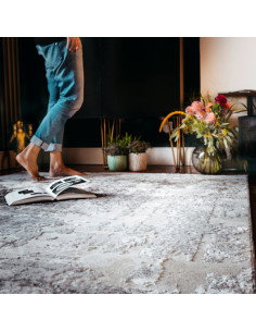 Nevada 341 Taupe Modern Rug with Soft Fantasy Pattern 2