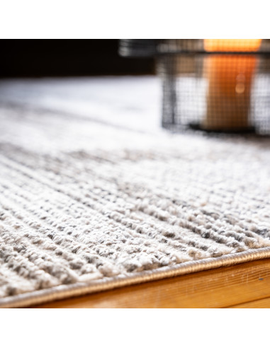 Tappeto Salotto Nevada 343 Grigio Moderno e Versatile