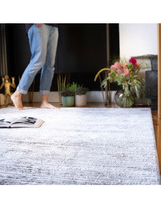 Nevada 343 Taupe Modern Rug with Subtle Fantasy Pattern 2
