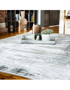 Noblesse 801 Grey Vintage Rug – Elegant Durable Carpet 2