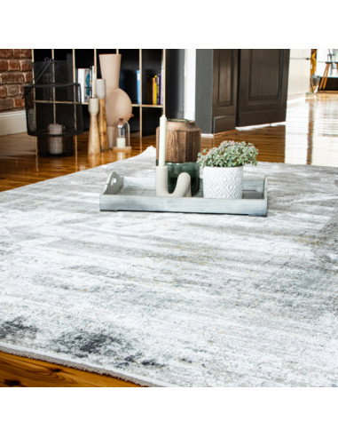 Noblesse 801 Grey Vintage Rug – Elegant Durable Carpet