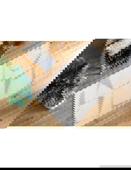 Tappeto Salotto Parma 510 Crema Elegante e Morbido