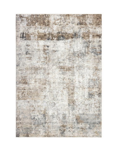 Posh 302 Taupe Vintage Rug with Soft Texture