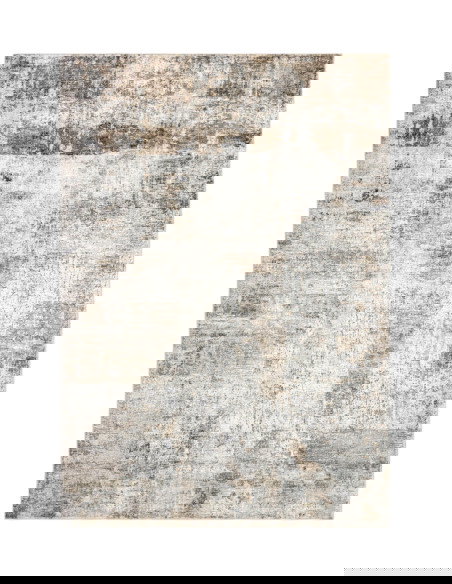 Posh 302 Taupe Vintage Rug with Soft Texture