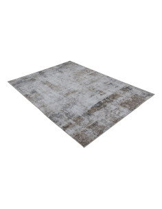Posh 302 Taupe Vintage Rug with Soft Texture 2