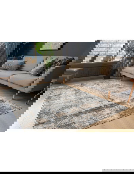 Posh 302 Taupe Vintage Rug with Soft Texture