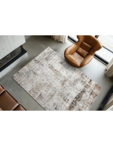 Posh 302 Taupe Vintage Rug with Soft Texture