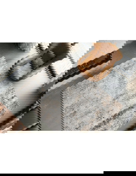 Posh 302 Taupe Vintage Rug with Soft Texture