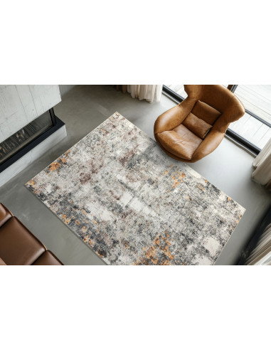 Posh 304 Terrakotta Vintage Style Rug with Warm Hues