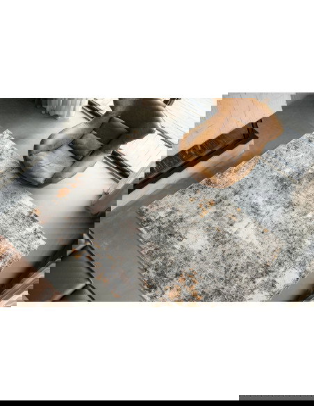 Posh 304 Terrakotta Vintage Style Rug with Warm Hues