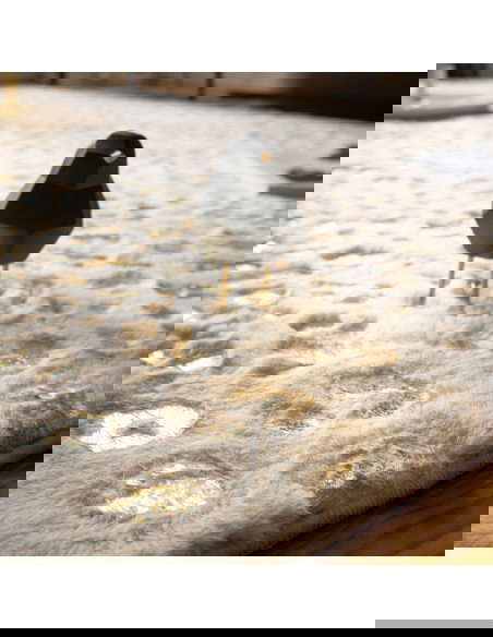 Safari 165 Cream Rug with Elegant Fantasy Pattern