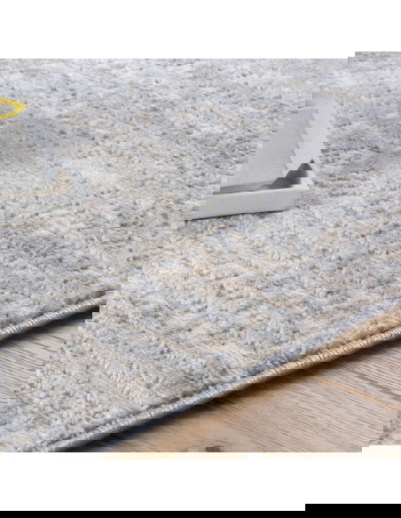 Salsa 690 Taupe Modern Rug with Subtle Fantasy Pattern