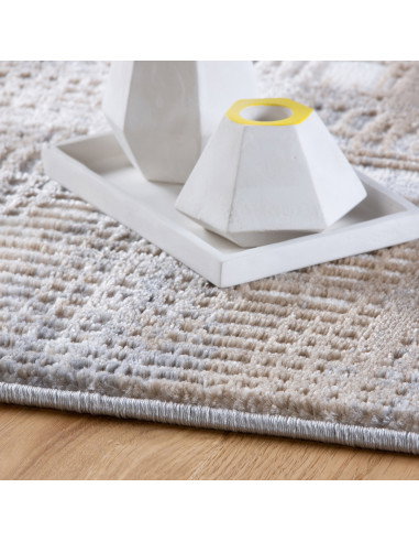 Salsa 691 Taupe Rug – Modern Durable Carpets