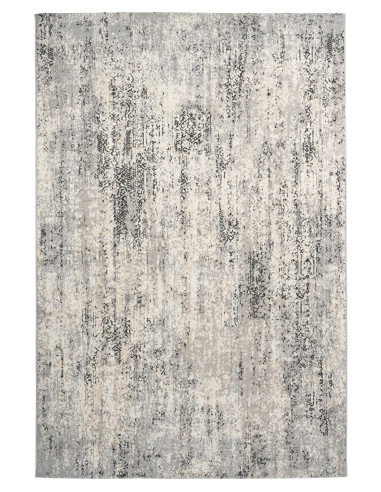Salsa 692 Grey Modern Rug with Subtle Fantasy Pattern