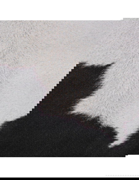 Toledo 190 Black-White Rug – Bold Modern Carpet