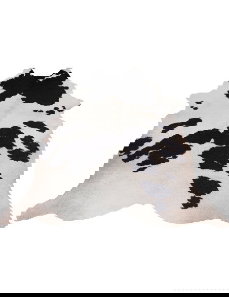 Toledo 190 Black-White Rug – Bold Modern Carpet