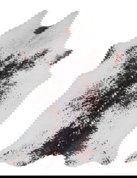 Tappeto moderno Toledo 191 marrone-bianco