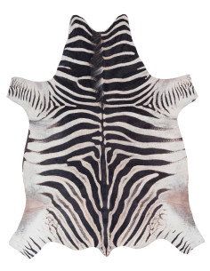 Toledo 192 Black-White Zebra Rug – Bold Modern Carpet
