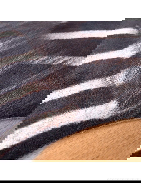 Toledo 192 Black-White Zebra Rug – Bold Modern Carpet