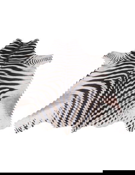 Toledo 192 Black-White Zebra Rug – Bold Modern Carpet