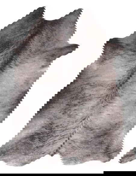 Toledo 193 Grey Modern Rug with Fantasy Design