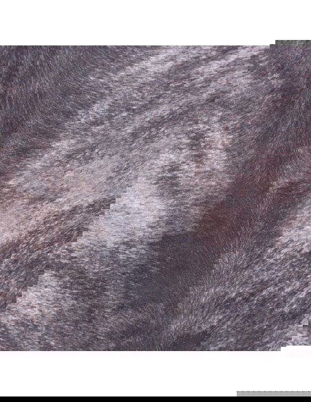 Toledo 193 Grey Modern Rug with Fantasy Design