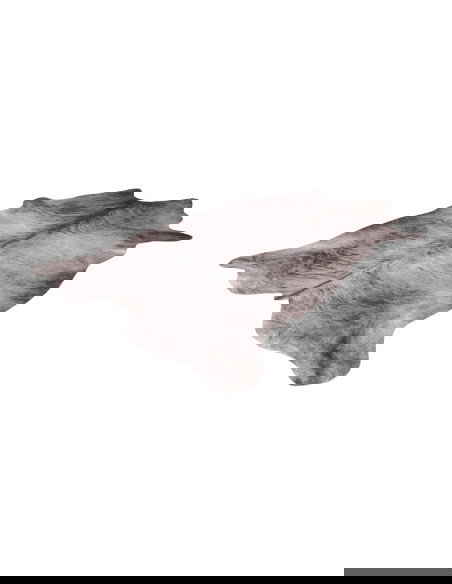 Toledo 193 Grey Modern Rug with Fantasy Design