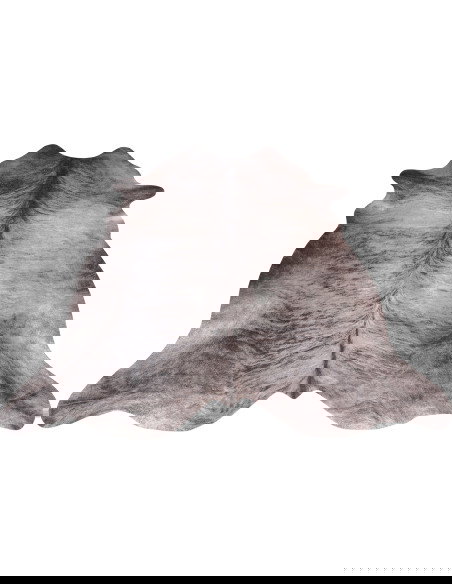 Toledo 193 Grey Modern Rug with Fantasy Design