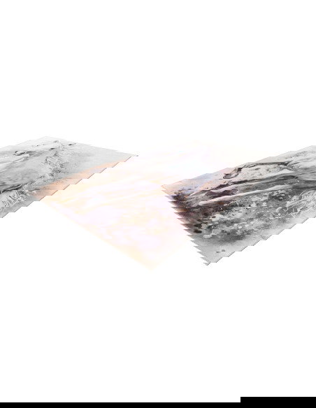 Torino Kids 235 White Horse Rug – Durable Kids Carpet