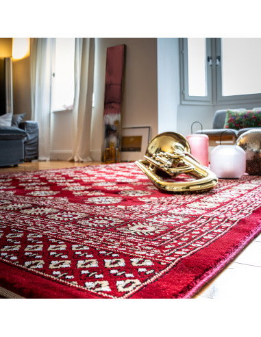 Ariana 880 Red Classic Rug – Durable Luxury Carpet