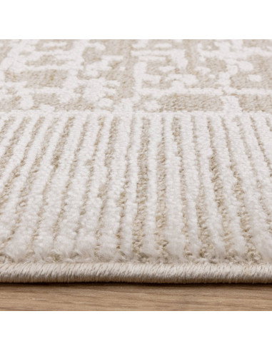 Tappeto Anders AN10 Beige/Natural: eleganza e comfort con design astratto, perfetto per ambienti boho chic ed etnici. Facile da